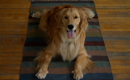 Doga with Leta and Laurie
